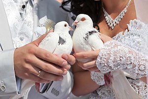 Hochzeitsreise mit Gutschein